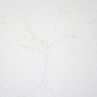 pietra bianca del quarzo di 2.2g/Cm2 Carrara con i pannelli di parete interna